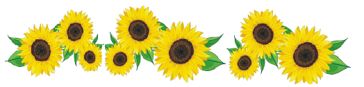 http://www.higashifukai-wh.org/news/0802sun/sunflower.png